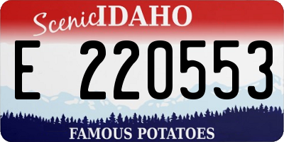 ID license plate E220553