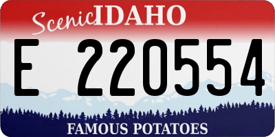 ID license plate E220554