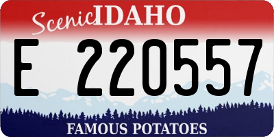 ID license plate E220557