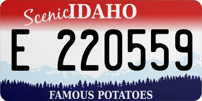 ID license plate E220559