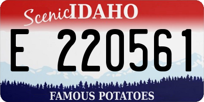 ID license plate E220561
