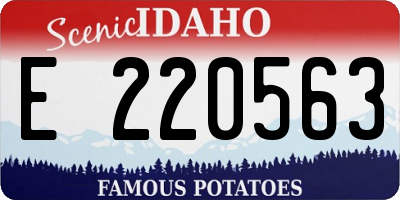 ID license plate E220563