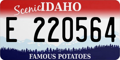 ID license plate E220564