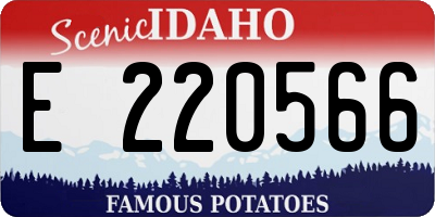 ID license plate E220566
