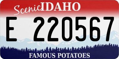 ID license plate E220567