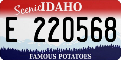 ID license plate E220568