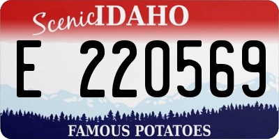 ID license plate E220569