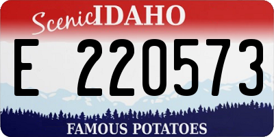 ID license plate E220573