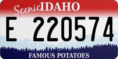ID license plate E220574