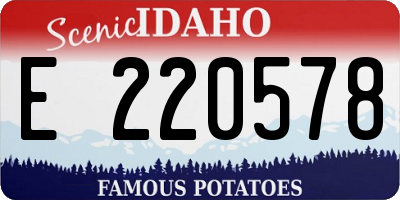 ID license plate E220578