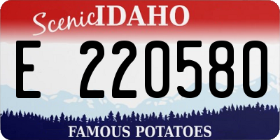 ID license plate E220580