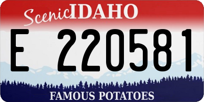 ID license plate E220581
