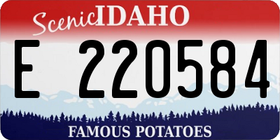 ID license plate E220584