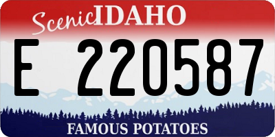 ID license plate E220587