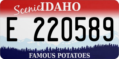 ID license plate E220589