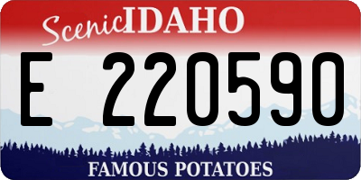ID license plate E220590