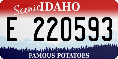 ID license plate E220593
