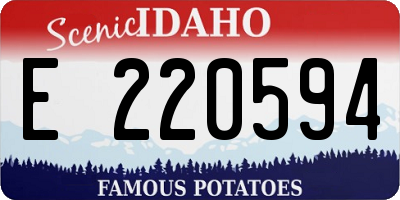 ID license plate E220594