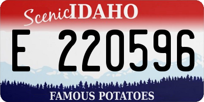 ID license plate E220596