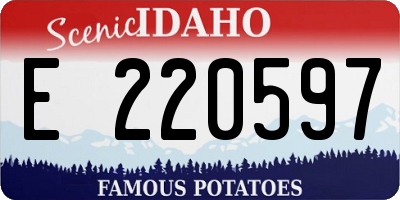 ID license plate E220597