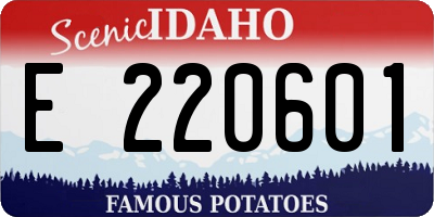 ID license plate E220601