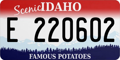 ID license plate E220602