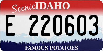 ID license plate E220603