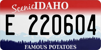 ID license plate E220604