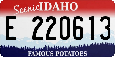 ID license plate E220613