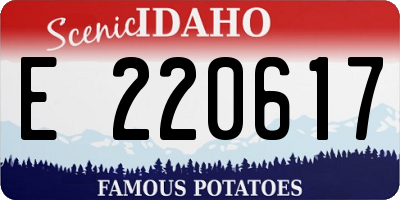 ID license plate E220617