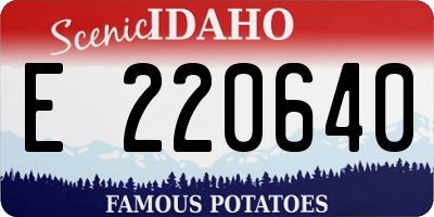 ID license plate E220640