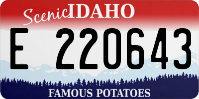 ID license plate E220643