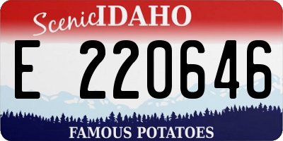 ID license plate E220646