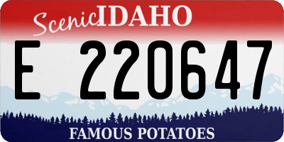 ID license plate E220647