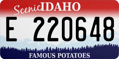 ID license plate E220648