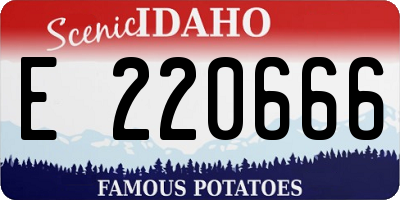 ID license plate E220666
