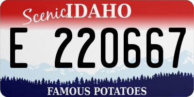 ID license plate E220667