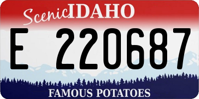 ID license plate E220687