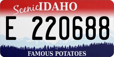 ID license plate E220688
