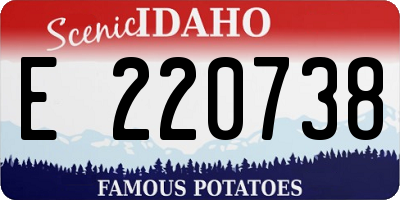 ID license plate E220738