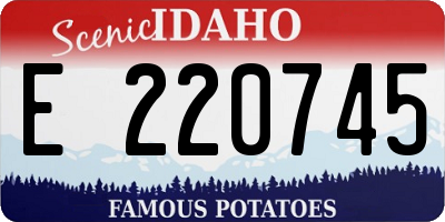 ID license plate E220745