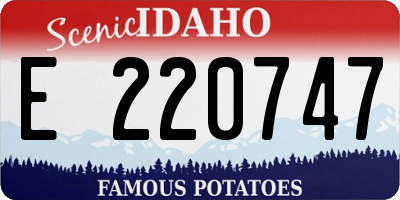 ID license plate E220747