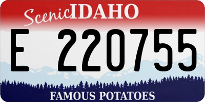 ID license plate E220755