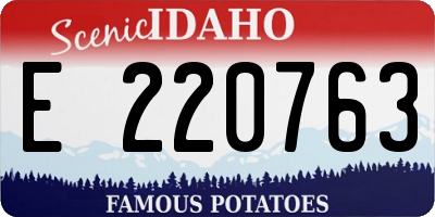 ID license plate E220763