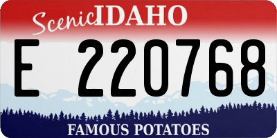 ID license plate E220768