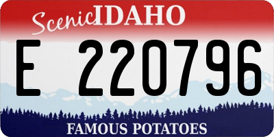 ID license plate E220796