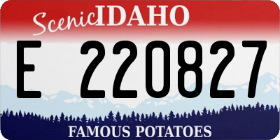 ID license plate E220827