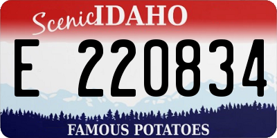 ID license plate E220834
