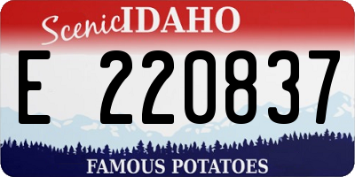 ID license plate E220837