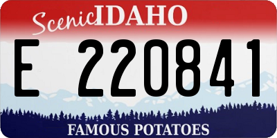 ID license plate E220841